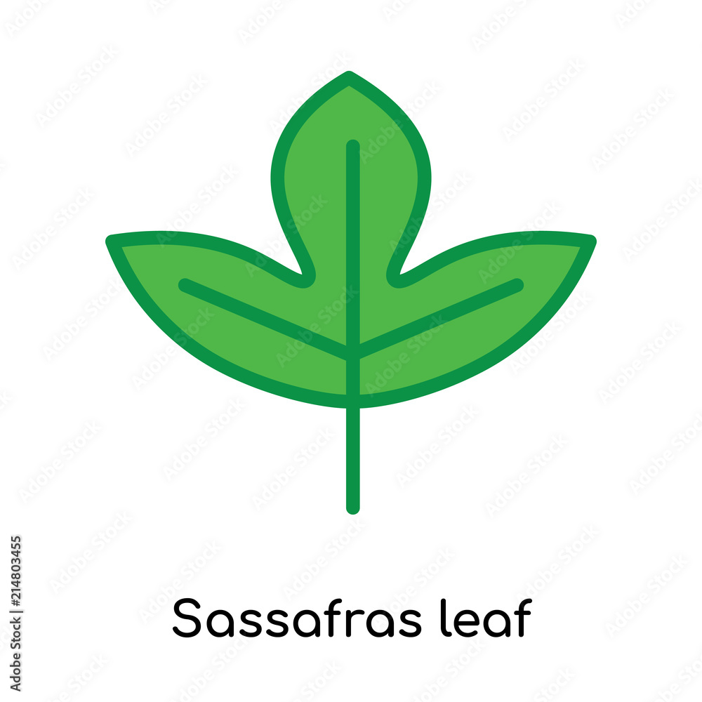Sassafras leaf icon vector sign and symbol isolated on white background, Sassafras leaf logo concept Sassafras leaf icon vector sign and symbol isolated on white background, Sassafras leaf logo concept