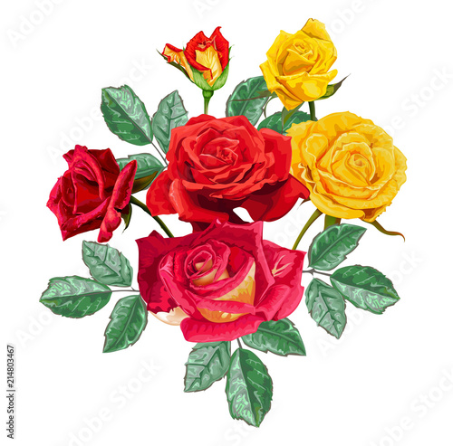 Rose bouquet flower red and yellow with green leaves  sketch style vector illustration isolated on white background.