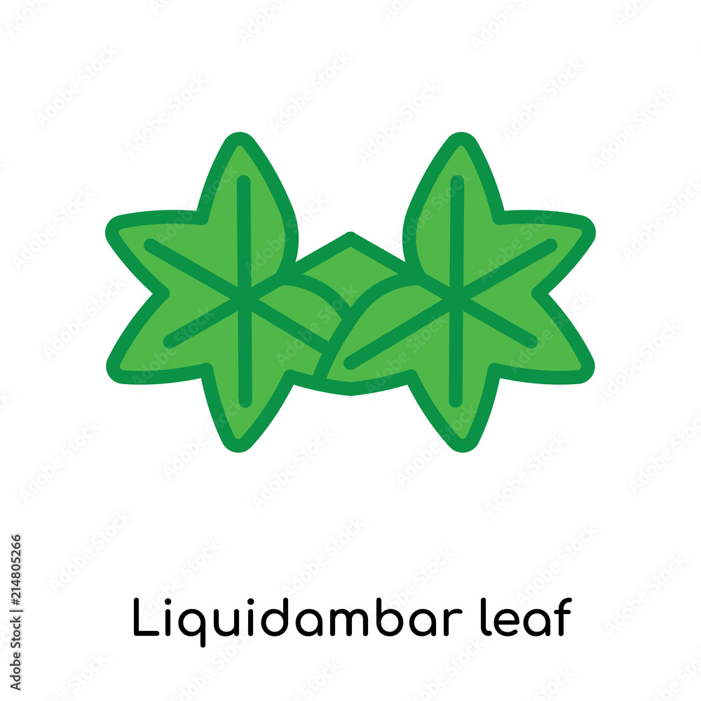 Liquidambar leaf icon vector sign and symbol isolated on white background, Liquidambar leaf logo concept Liquidambar leaf icon vector sign and symbol isolated on white background, Liquidambar leaf logo concept