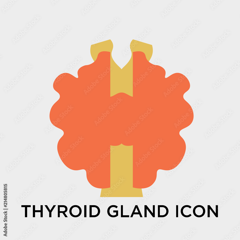 Thyroid gland icon vector sign and symbol isolated on white background, Thyroid gland logo concept