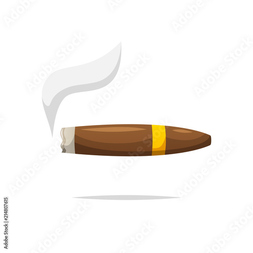 Cigar vector isolated