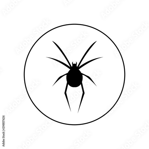 Spider icon, logo