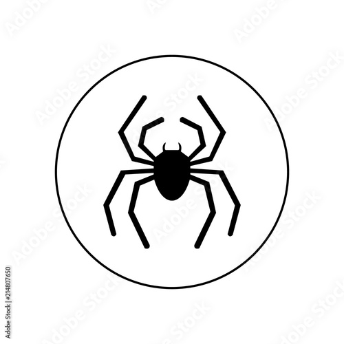 Spider icon, logo