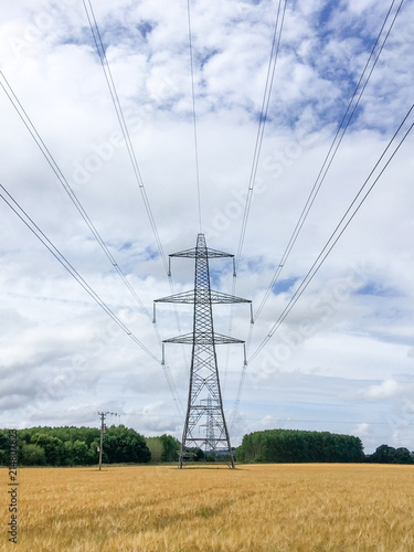 Electricity pylons in wheat field