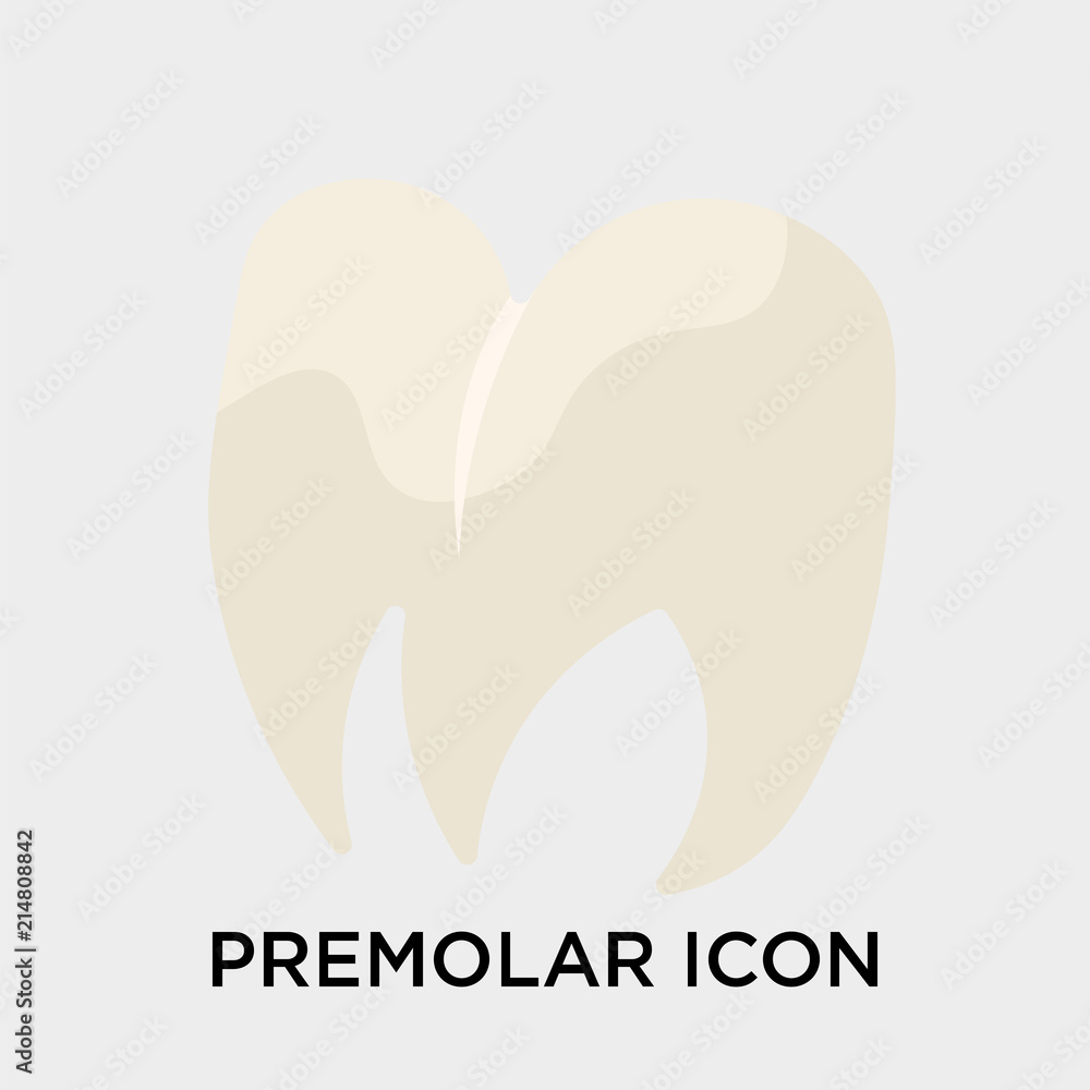 Premolar icon vector sign and symbol isolated on white background, Premolar logo concept Premolar icon vector sign and symbol isolated on white background, Premolar logo concept