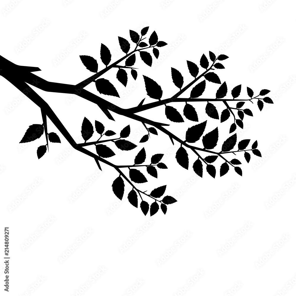 Fototapeta premium Vector silhouette of the branch tree