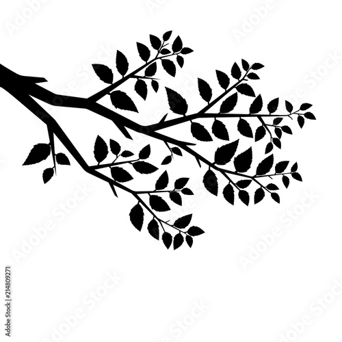 Vector silhouette of the branch tree