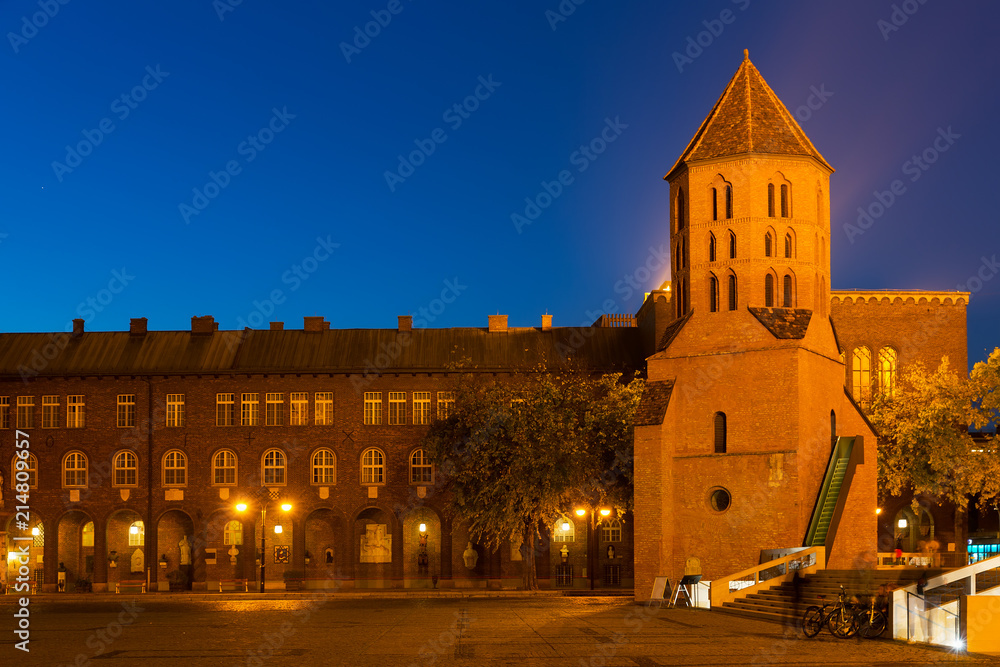 Illustration of view on Dom ter in night light of Szeged