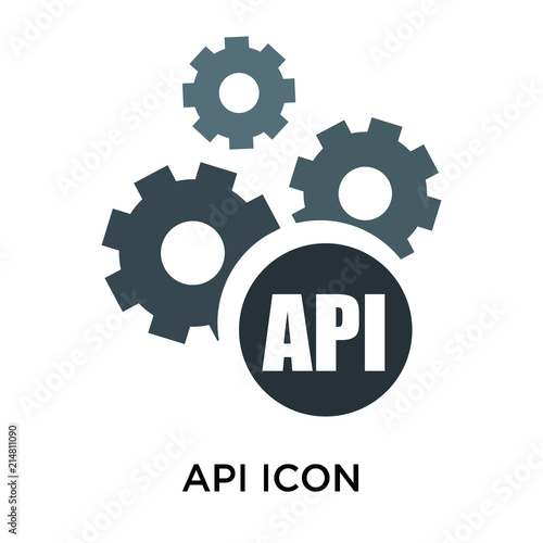Api icon vector sign and symbol isolated on white background, Api logo concept