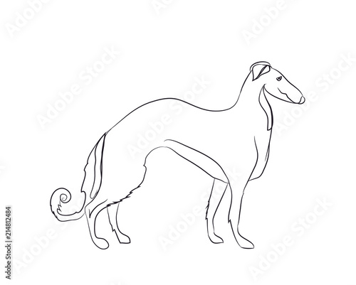 dog stands  lines  vector