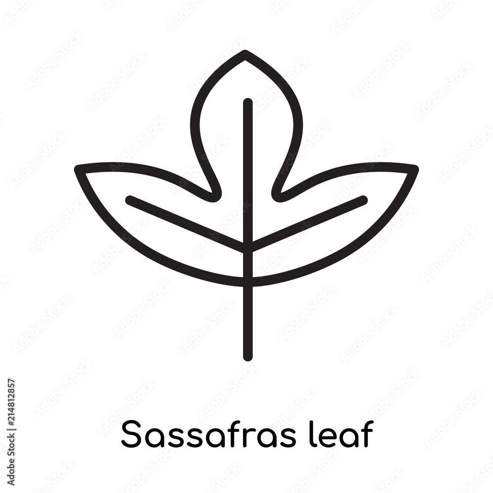 Sassafras leaf icon vector sign and symbol isolated on white background, Sassafras leaf logo concept Sassafras leaf icon vector sign and symbol isolated on white background, Sassafras leaf logo concept