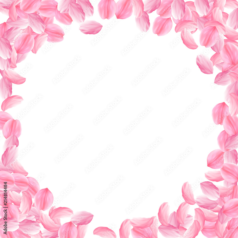 Sakura petals falling down. Romantic pink bright big flowers. Thick flying cherry petals. Corner fra