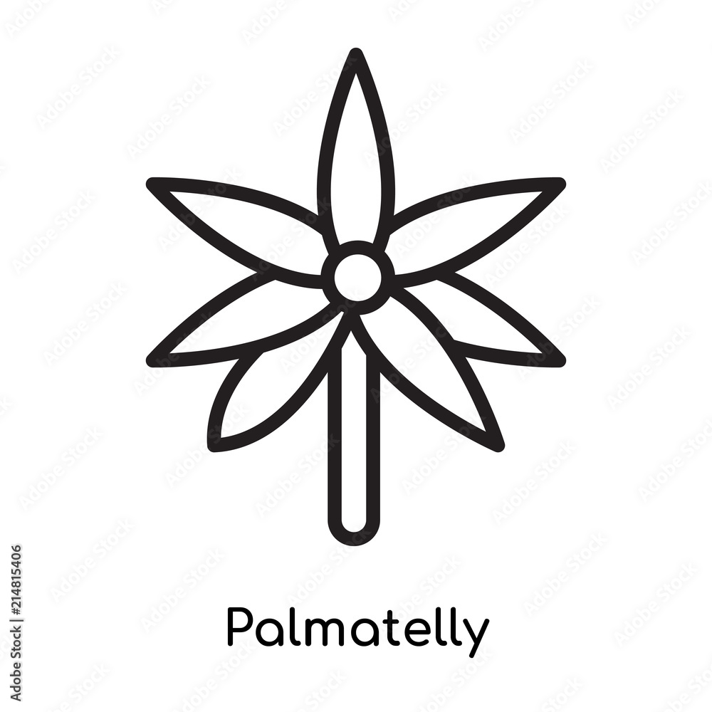 Palmatelly icon vector sign and symbol isolated on white background, Palmatelly logo concept Palmatelly icon vector sign and symbol isolated on white background, Palmatelly logo concept