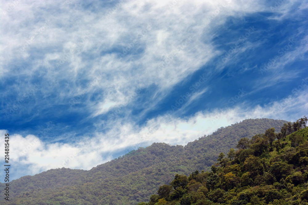 Fototapeta premium moutain with blue sky, forest with blue sky