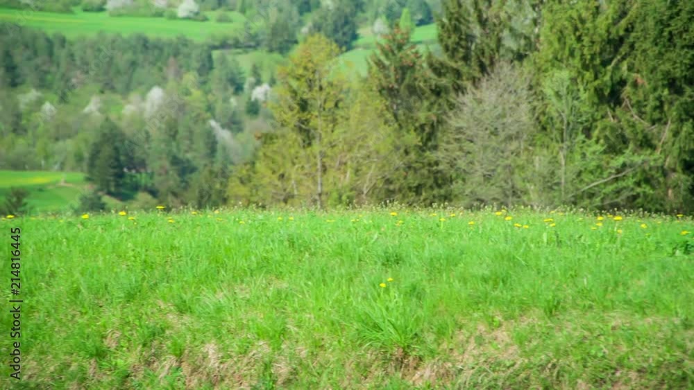 Nature is green and beautiful in this time of year. The country road goes uphill. Nature is green and beautiful in this time of year. The country road goes uphill.