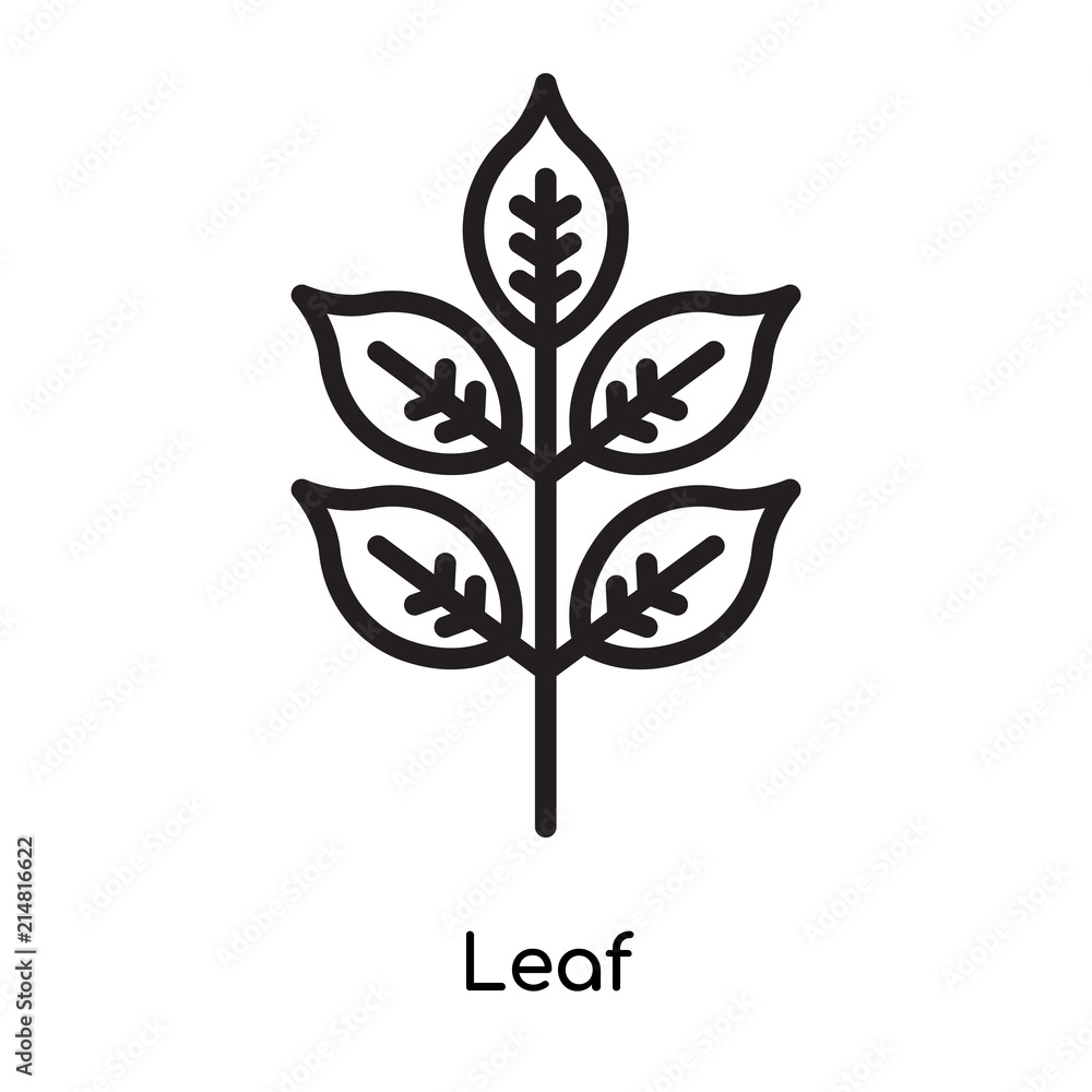 Leaf icon vector sign and symbol isolated on white background, Leaf logo concept
