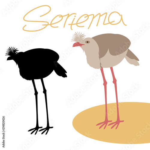 bird red-legged seriema vector illustration black silhouette