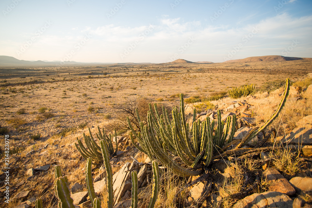 Panoramic landscape photo views over the kalahari region in South Africa Panoramic landscape photo views over the kalahari region in South Africa