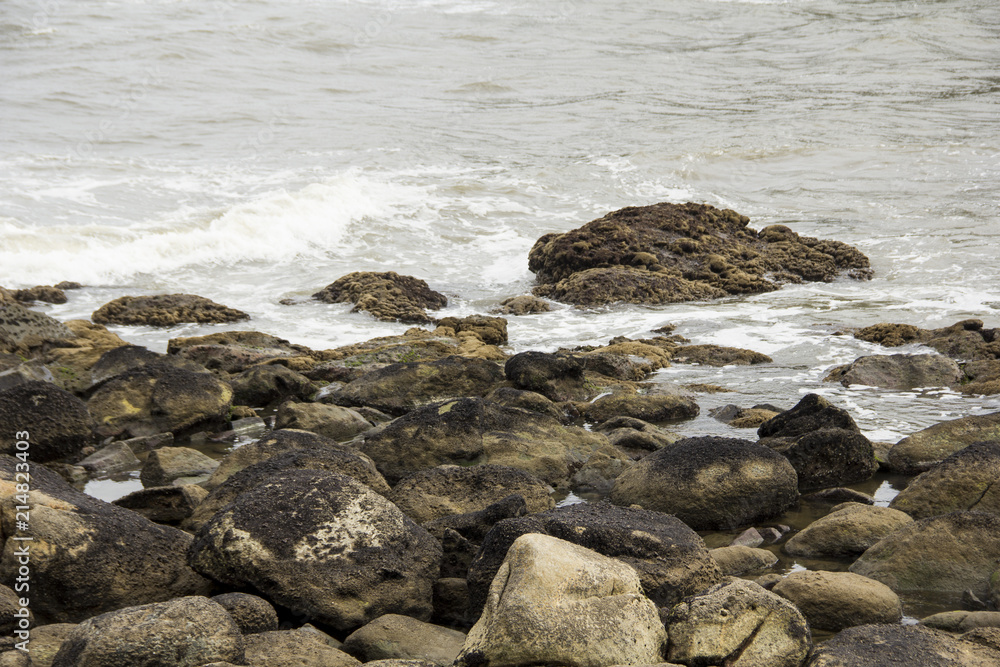 picture of a surfer on the sea