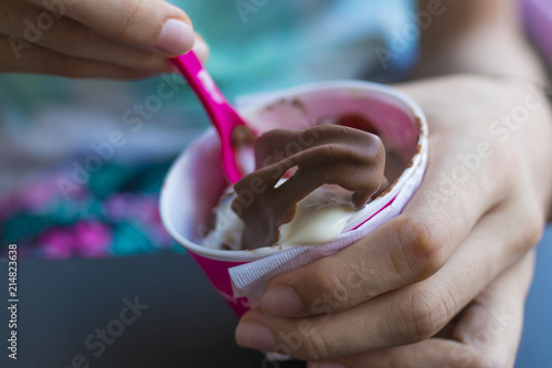chocolate and vanilla ice cream terrine