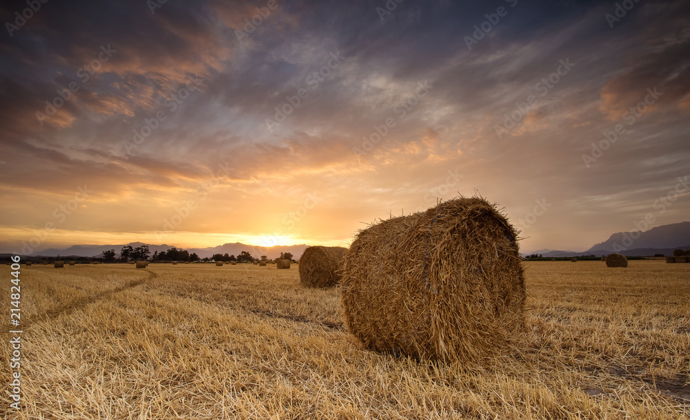 Panoramic views of a brilliant sunset over a meadow with big hay bales.
