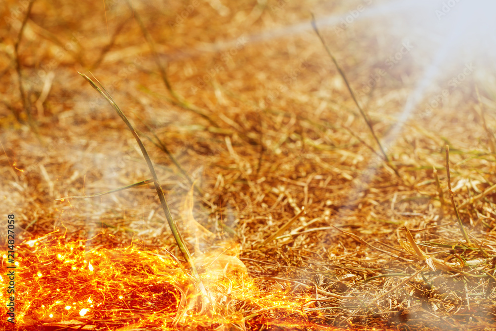 Field burns in the summer by drought Field burns in the summer by drought