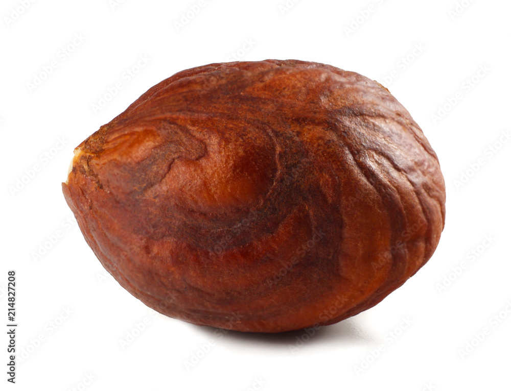 one hazelnut isolated on a white background. macro one hazelnut isolated on a white background. macro