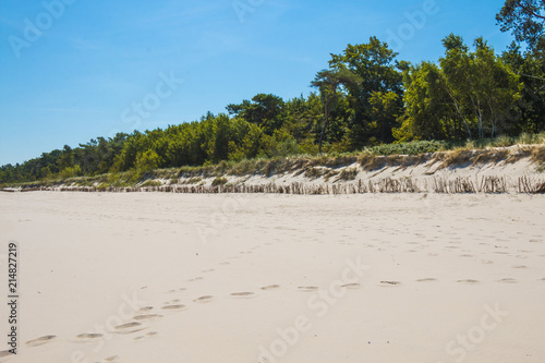 Beautiful sandy beach with footprints and green trees in the background