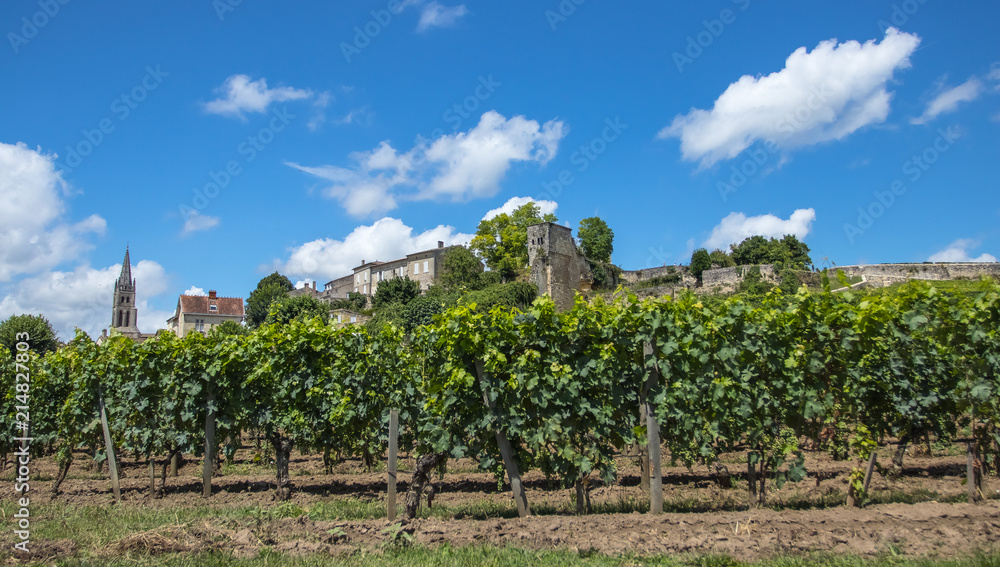 Vineyards at Saint Emilion