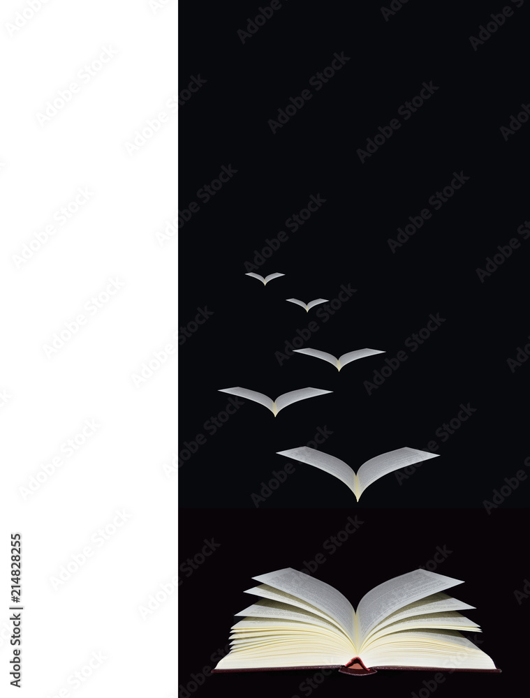 Fondo, portada de libro, libro con hojas sueltas simulando pájaros, fondo  negro, abstracto. ilustración de Stock | Adobe Stock