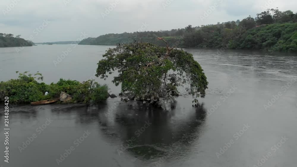 A circling aerial shot of a tree with birds resting in it rising up from the middle of the River Nile. A circling aerial shot of a tree with birds resting in it rising up from the middle of the River Nile.