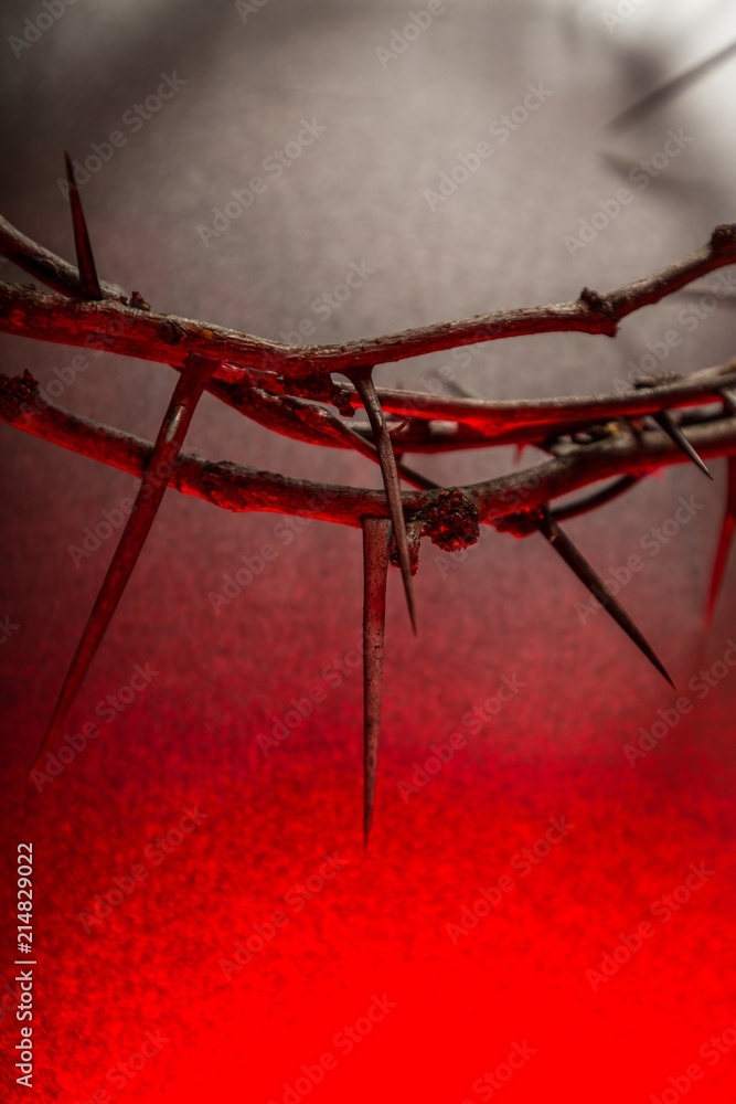 Closeup of the Crown of Thorns Closeup of the Crown of Thorns