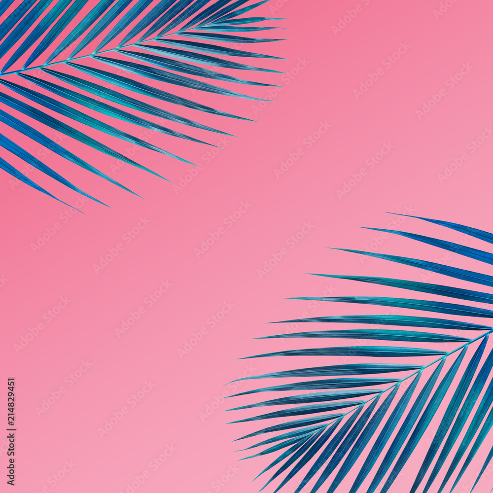 Fototapeta Tropical palm leaves pattern on pastel color background.Nature and holiday summer concepts