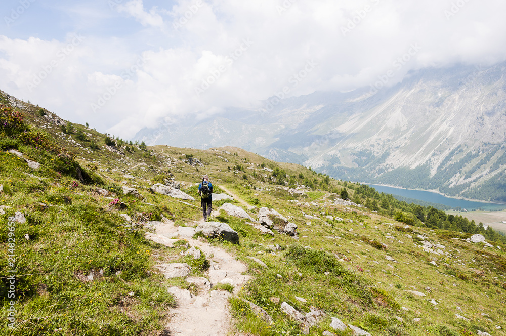 Sils, Furtschellas, Silsersee, Seenplatte, Wanderweg, Val Fex,  Marmorè, Blumenweg, Alpen, Oberengadin, Graubünden, Sommer, Schweiz