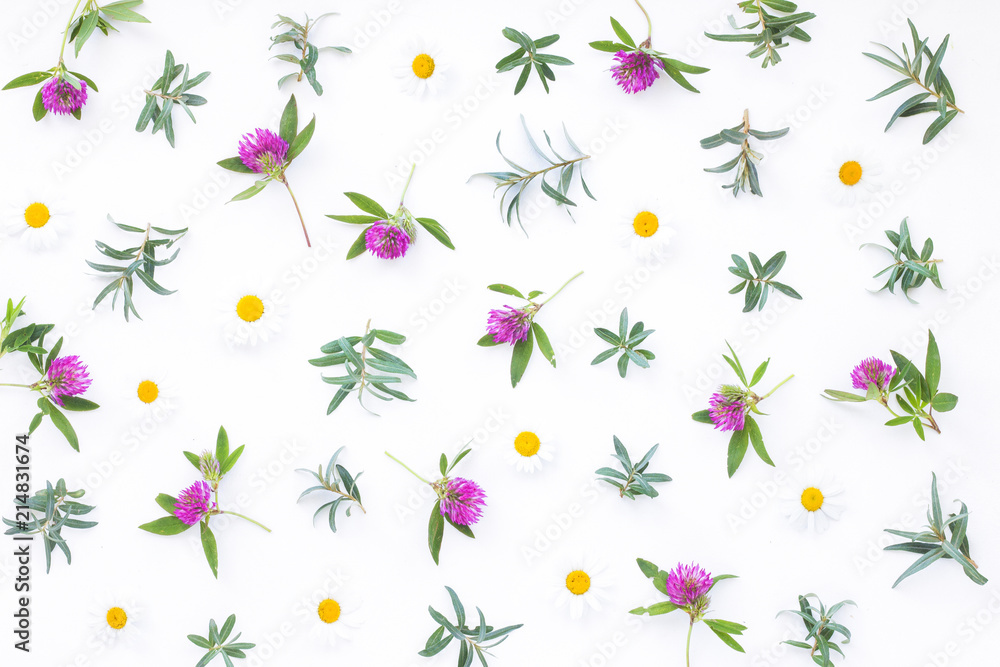 Flowers composition on white background, flat lay, top view Flowers composition on white background, flat lay, top view