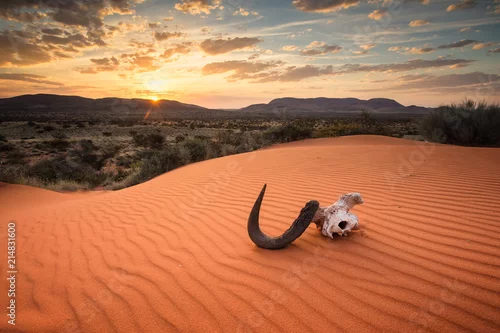 Obraz Panoramiczne widoki zdjęć krajobrazowych nad regionem Kalahari w Afryce Południowej