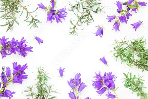 Flowers composition on white background, flat lay, top view