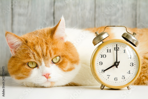 live and mechanical alarm clock for waking up in the morning