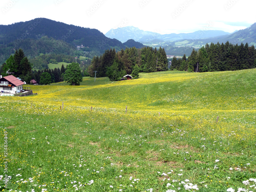 Alpine meadow with bright flowers. Mountain hotel.