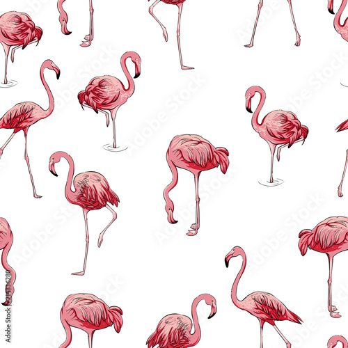 Seamless flamingos pattern, vector © Евгения Савченко