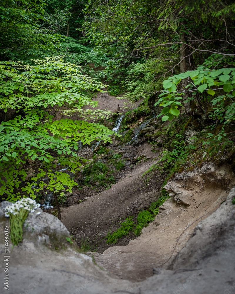 Waterfall in the ravine. River turns into waterfall. Falling water from waterfall of The Seven Springs in Gauja national park. Latvia. Soft focus. Waterfall in the ravine. River turns into waterfall. Falling water from waterfall of The Seven Springs in Gauja national park. Latvia. Soft focus.