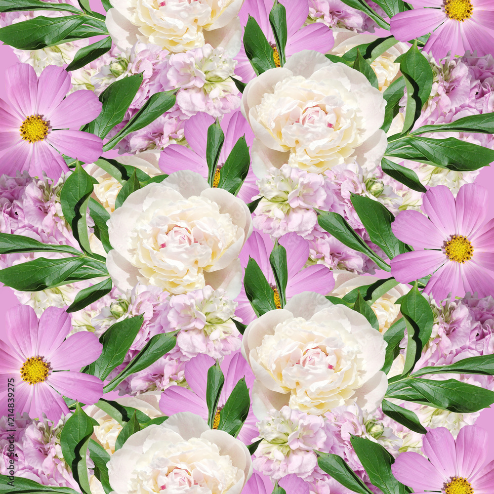 Beautiful floral background of pelargonium, peony and Cosmo Beautiful floral background of pelargonium, peony and Cosmo