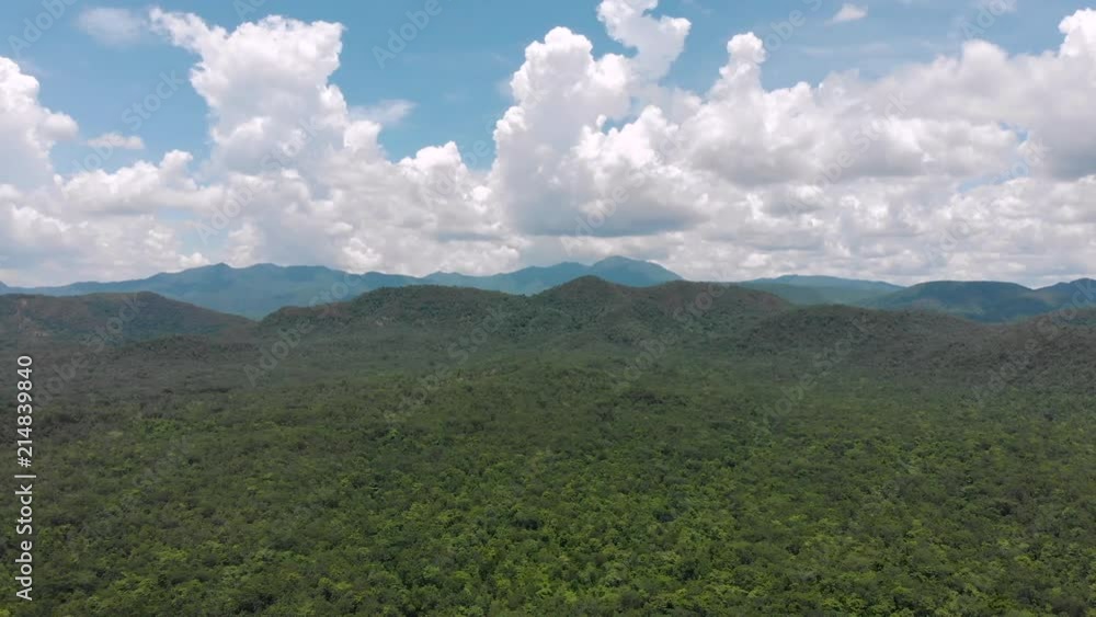 Green forest and mountain in Asian country Green forest and mountain in Asian country