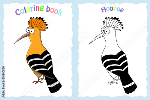 Coloring book page for preschool children with colorful hoopoe