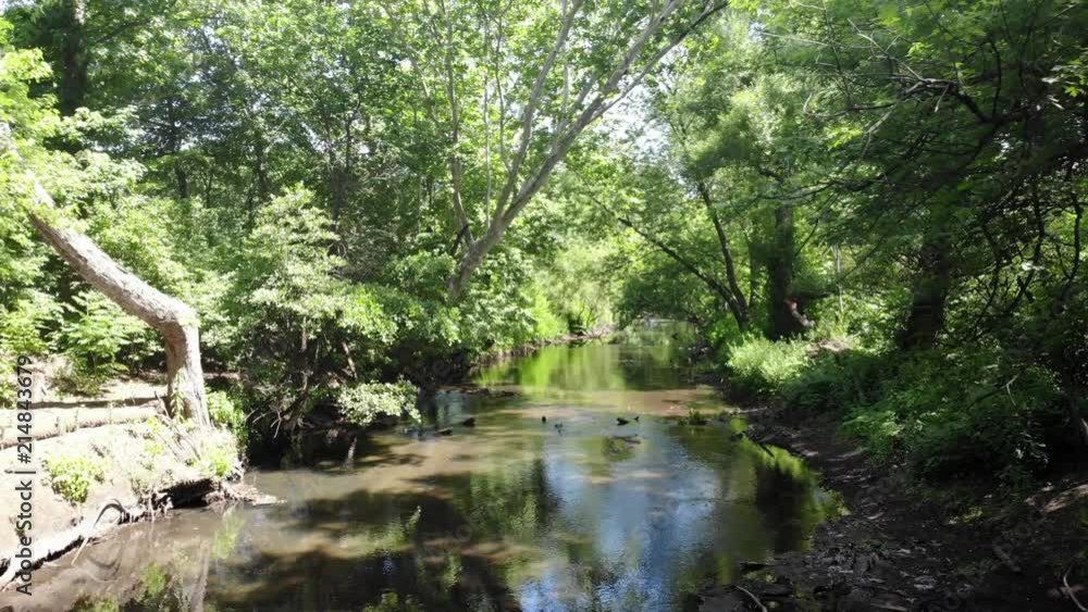 Smooth Movement over a swamp. Reverse Clip. Smooth Movement over a swamp. Reverse Clip.
