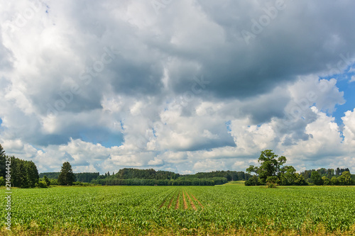 Idyllic landscape in Bavaria with field