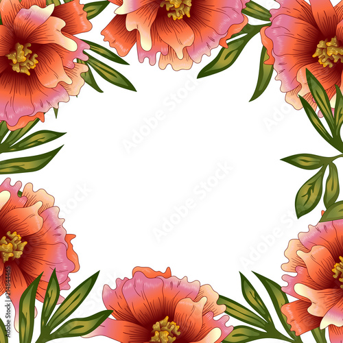 Peony frame flowers in a vector style. Frame border ornament square. Vector flower for background, texture, wrapper pattern, frame or border.