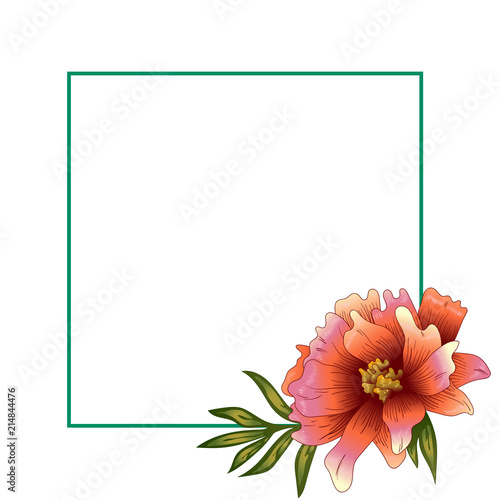 Peony frame flowers in a vector style. Frame border ornament square. Vector flower for background, texture, wrapper pattern, frame or border.