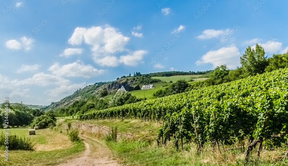 Weinberge und Weingut in Oberhausen an der Nahe Weinberge und Weingut in Oberhausen an der Nahe