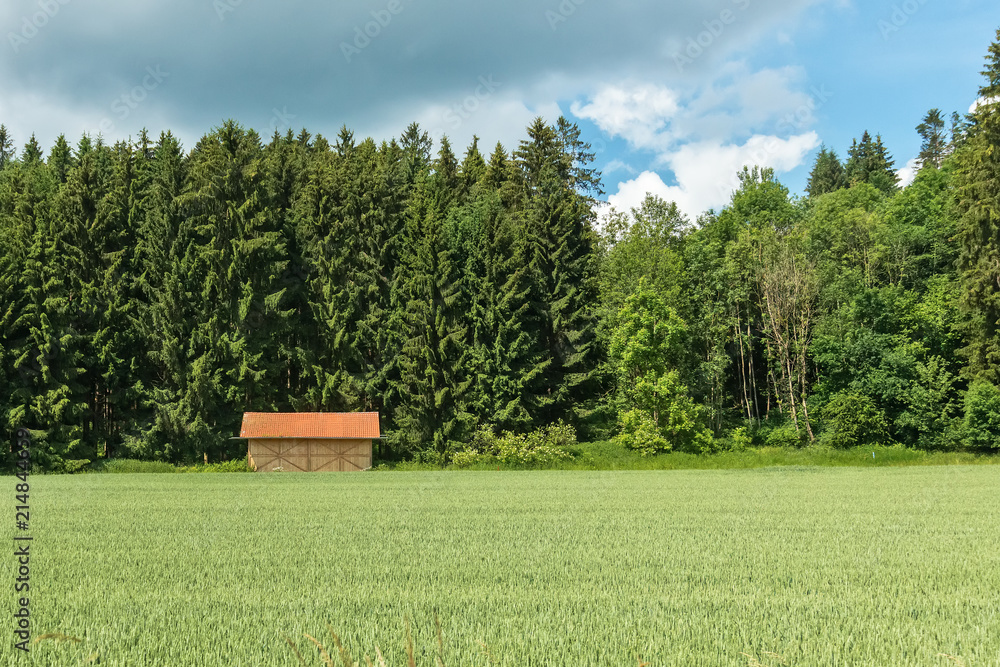 Fototapeta premium Beautiful Landscape with Wooden Hut on Meadow in Bavaria, Germany